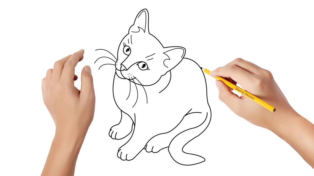 Comment Dessiner Un Chat Tutoriel Episode Comment Dessiner Un Chat | My ...