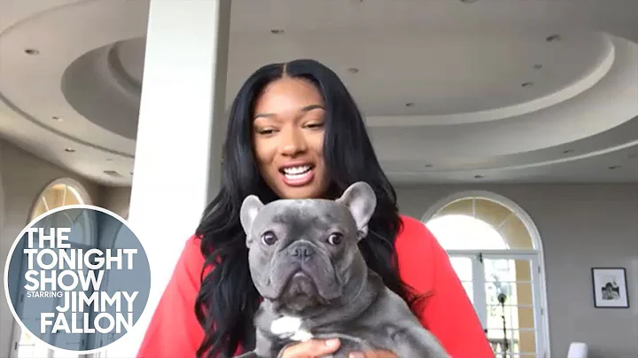 Megan Thee Stallion Reacts to Janet Jackson's #Sav...