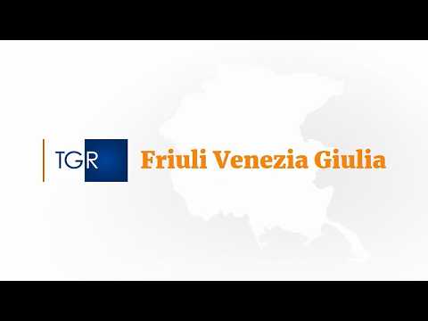 Video RAI3 TGR FRIULI V.G. - Sicurezza in edilizia la sfida della formazione - (28-04-2026)