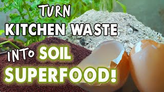 Coffee Grounds, Wood Ash and Eggshells: Feed Your Garden!