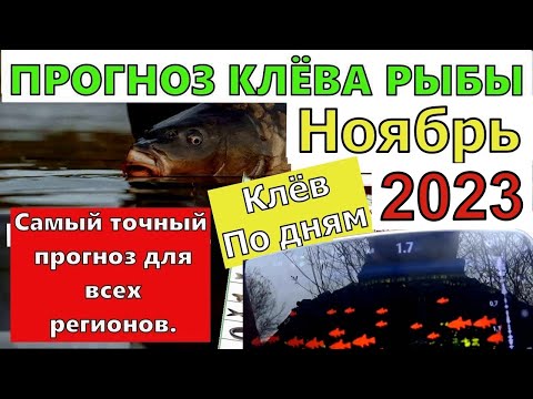 Календарь рыбака на Ноябрь 2023 года. Лунный календарь клева рыбы на Ноябрь 2023