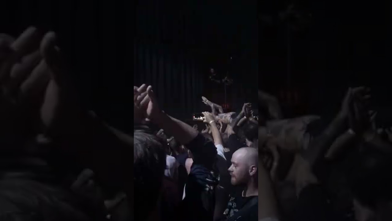 viagra boys sebastian murphy crowd surfing @ grauzone 2022