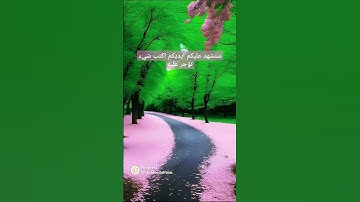 سوره الكوثر بصوت القارئ الشيخ فارس عباد #اكسبلور