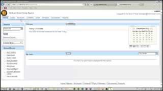 Leads vs Accounts and Contacts