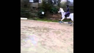 Flatwork on Rio