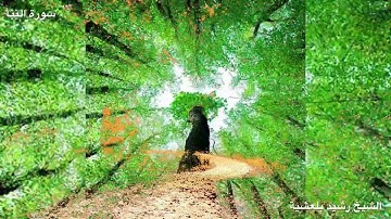 المصحف المرتل للشيخ رشيد بلعشية ((سورة النبأ))