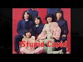 ブルーコメッツ 女性ヴォーカルR&R 2 Locomotion A Hard Days Night Georgia On My Mind Stupid Cupid Steam Heat