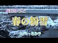 【カラオケ】春の粉雪/辰巳ゆうと(カバー by Rumiko Kuwabara)