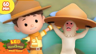 Monkey Stealing A Hat Cheeky Animals Leo The Wildlife Ranger Kids Cartoons