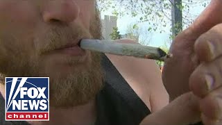 The 'weedification' of America The 'weedification' of America