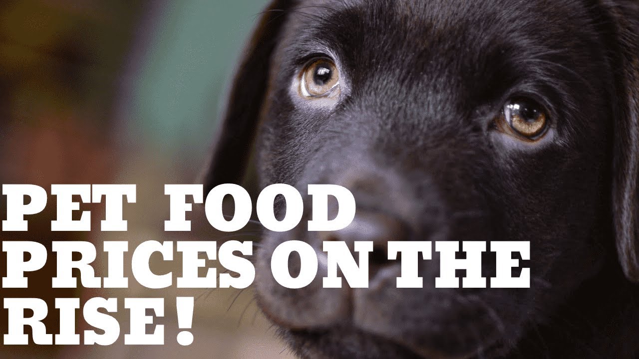 How inflation is affecting pet owners