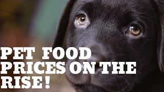 How inflation is affecting pet owners