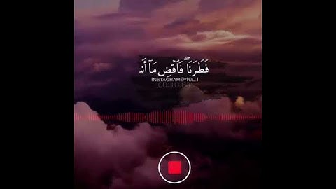 أرح قلبك وسمعك❤️ // القارئ شريف مصطفى //ستوري انستا 🌿//حالات واتس اب🌾 //مقاطع_انستغرام🌹