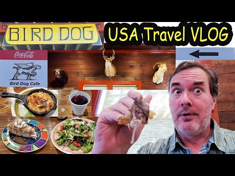 USA Travel Vlog: Mississippi Food at Bird Dog Cafe in Laurel, Mississippi