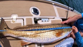 MASSIVE REDFISH CAUGHT AND Catch and Cook on Perfect size Redfish!!