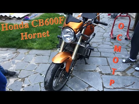 [Мотоподбор] Осмотр и оценка Honda CB600F Hornet 2005 года.  Живая легенда