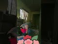 morning routine pawis lang tayo ng konti#exercise #youtubeshorts #shortsvideo #ytshorts #viral