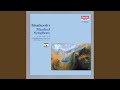 Miniature de la vidéo de la chanson Manfred Symphony, Op. 58: I. Lento Lugubre - Moderato Con Moto