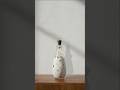 Create Professional Dropper Bottle Shadows in Photoshop 2026 #shorts #shortsvideo