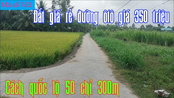 Đất giá rẻ ở Gò Công Tây Tiền Giang giá 350 triệu (7,5×19) đường ôtô - ms 763 - Alo nhà đất