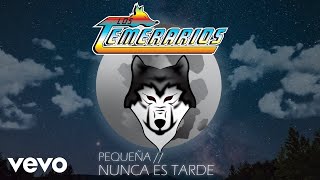 Video thumbnail of "Los Temerarios - Nunca Es Tarde (Animated Video)"