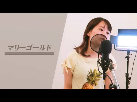 マリーゴールド／あいみょん (Covered by 野崎万葉)