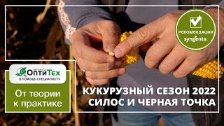 КУКУРУЗНЫЙ СЕЗОН 2022. Часть 3. Силос и черная точка.