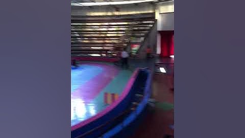 Xiếc thú Đầm sen đặc biệt