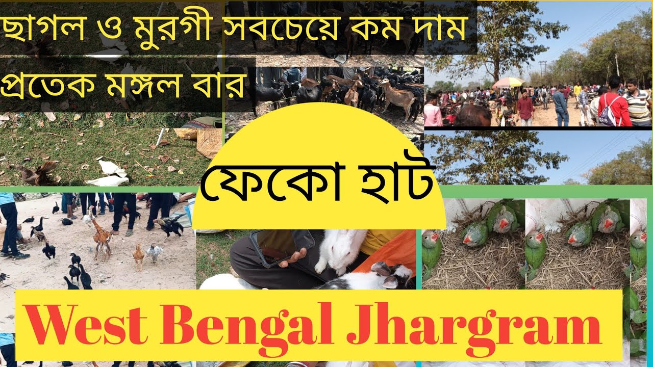 Feko Haat।। West Bengal।।সর্ববৃহৎ মুরগীর হাট।। Jhargram District।। kukru hat।। balarampur hat।।