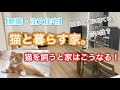 【一条工務店】猫を飼いました！！新築で猫を飼うデメリットと解決策6選