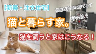 【一条工務店】猫を飼いました！！新築で猫を飼うデメリットと解決策6選