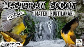 MASTERAN SOGON MEWAH (materi kuntilanak)
