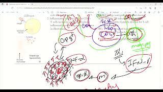 Type 4 hypersensitivity | Immunology | First Aid Lectures | Lec25 #drjamillectures #drjameellectures