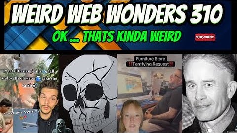 weird web wonders 310