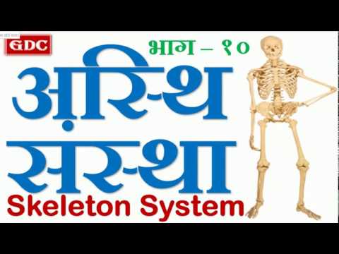 Sci & Tech Part 10 - Skeleton System || Imp for MPSC/UPSC, PSI, STI, ASO Tax Assistant