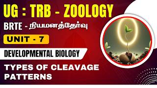 UG : TRB - ZOOLOGY - UNIT - 7 - DEVELOPMENTAL BIOLOGY - TYPES OF CLEAVAGE PATTERNS