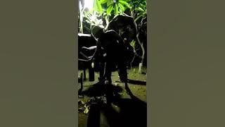 Story wa sahur sahur lucu di kuburan