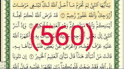 سورة  التحريم رقم الصفحة 560 مجود بصوت القارئ الشيخ أيمن سويد حفظه الله