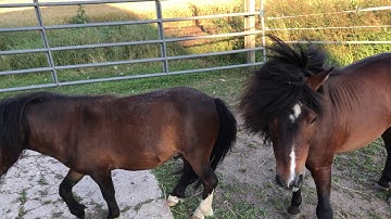 Luma Fusion App Test Video