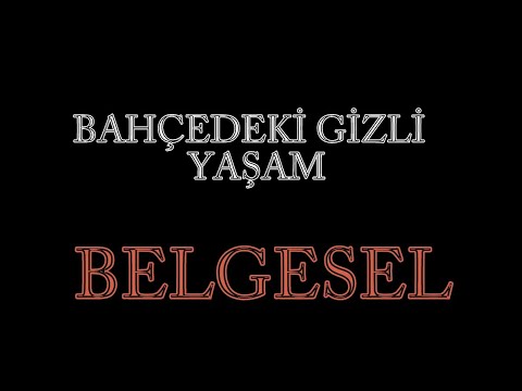 BAHÇEDEKİ GİZLİ YAŞAM / BELGESEL