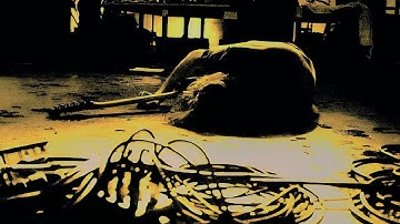 Nirvana - Evergreen State College Videos (1990)