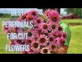 Blooming beauties discover our top favorite perennial cut flowers  pepperharrowfarmcom