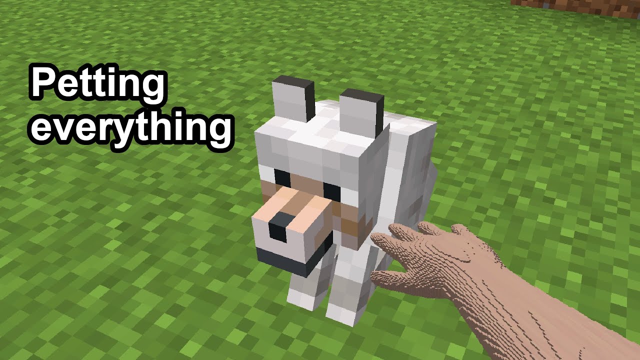 Petting the Dog in Minecraft YouTube