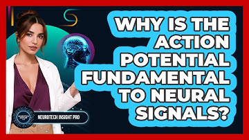 Why Is The Action Potential Fundamental To Neural Signals? - Neurotech Insight Pro