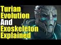 Mass Effect Turian Species Explained | Morphology, Evolution, History, Council, and Exoskeleton Lore