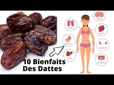 Vidéo: Pourquoi Les Dates Sont-elles Utiles ?