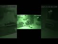 7 Disasters Caught On Camera
