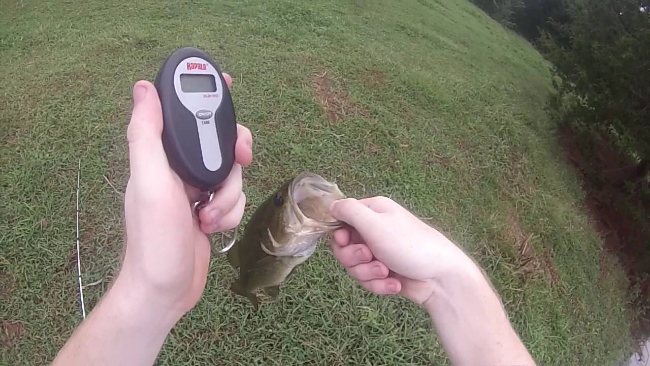 Reaction Innovations Skinny Dipper Swimbait