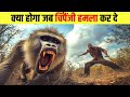 जब जानवरो ने किया इंसानो पर हमला। animals attack on humans