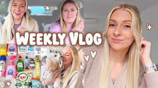 bargain home haul & we were so disappointed... WEEKLY VLOG!